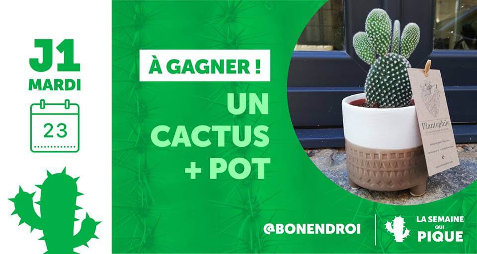 Image article 🌵J1 - Concours qui pique les doigts 🌵